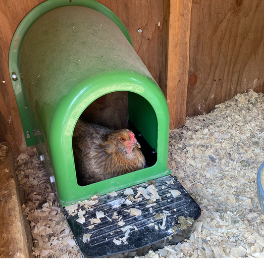 2 Pack | Nesting Box | Nest Box for your Chicken | Roll-A-Way