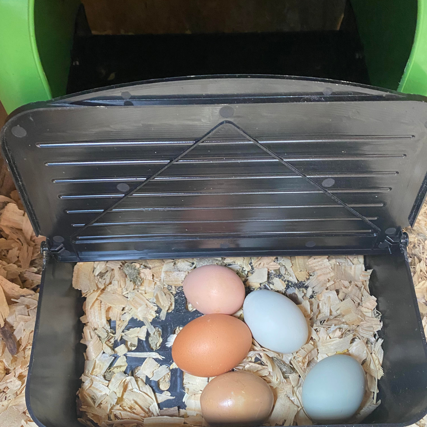 5 Pack | Nesting Box | Nest Box for your Chicken | Roll-A-Way