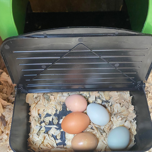 1 Pack | Nesting Box | Nest Box for your Chicken | Roll-A-Way