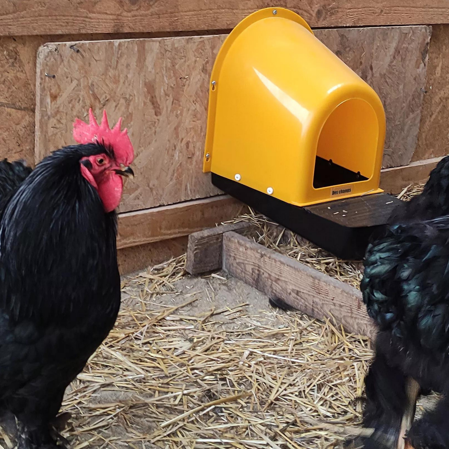4 Pack | Nesting Box | Nest Box for your Chicken | Roll-A-Way