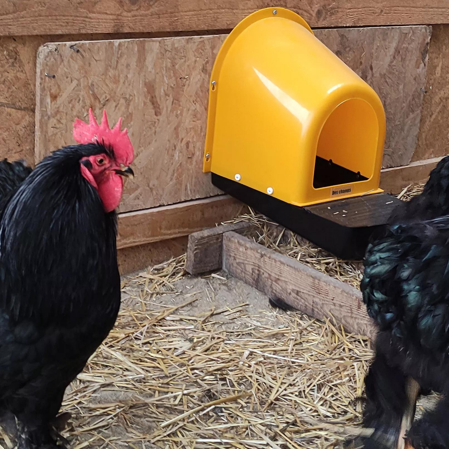 2 Pack | Nesting Box | Nest Box for your Chicken | Roll-A-Way